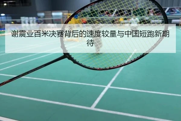 谢震业百米决赛背后的速度较量与中国短跑新期待